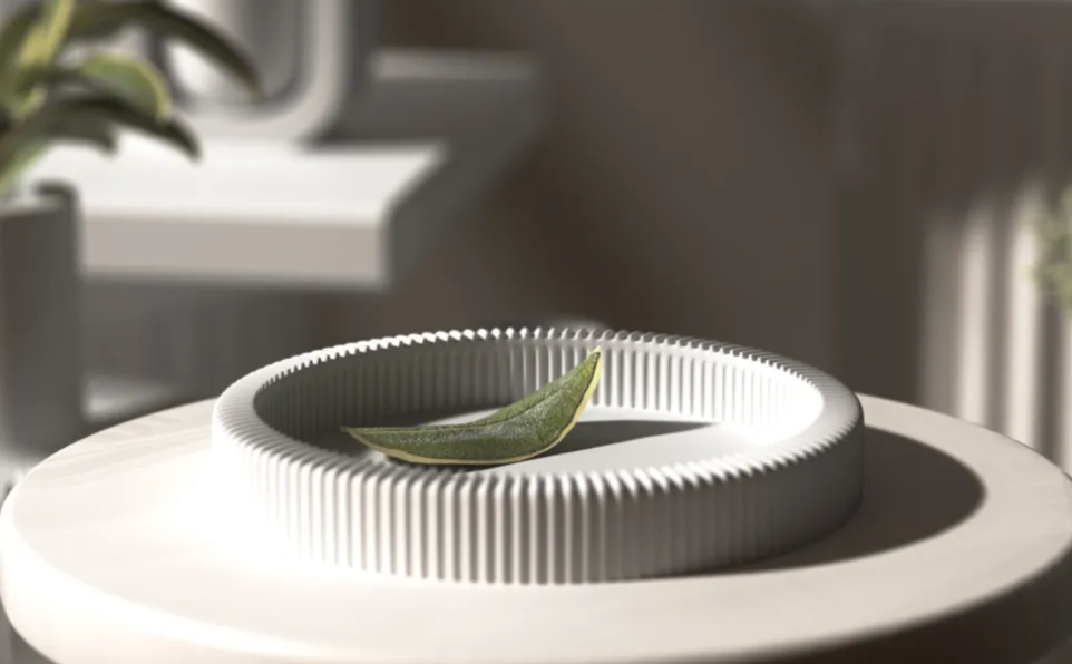 The Ribbed Tray