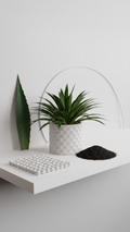 The Hex Planter
